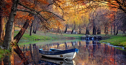 Park With a Stream In Autumn Park With a Stream In Autumn